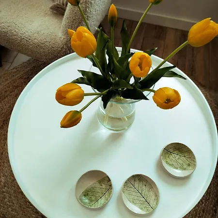 Na Szlaku Vakantiehuis Szklarska Poręba